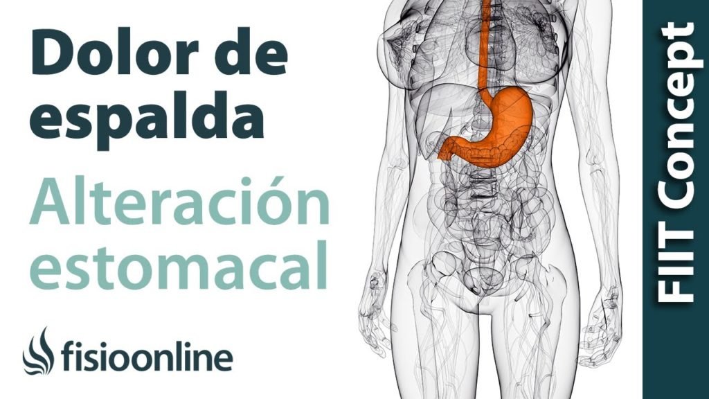 Alivio Efectivo para la Hinchazón Abdominal y Dolor de Espalda: Causas y Tratamientos